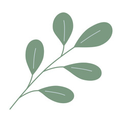  Foliage, plant, green herb. Abstract leaf element on white background. 