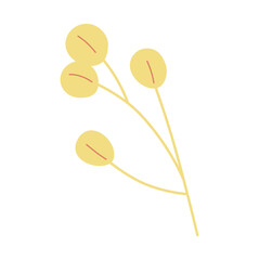 Foliage, plant, green herb. Abstract leaf element on white background. 