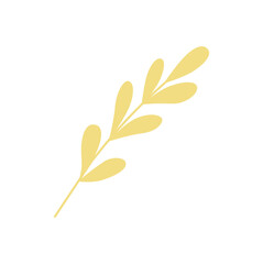  Foliage, plant, green herb. Abstract leaf element on white background. 