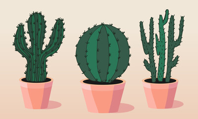 Three cacti. Spiny cacti. Succulents in pots. Plants for the home.