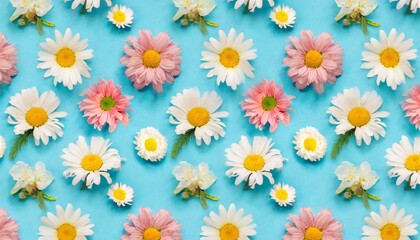 daisy pattern flat lay spring and summer flowers on a blue background repeat concept top view