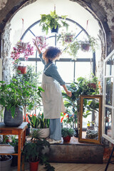 Fototapeta na wymiar Young Afro American woman plant lover taking care of houseplant