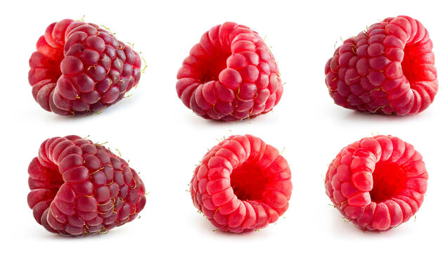 Himbeere collection isoliert auf wei&szlig;en Hintergrund, Freisteller