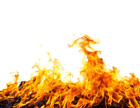 Feuer am unteren Rand isoliert auf wei&szlig;em Hintergrund, Freisteller