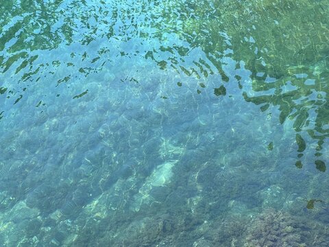 Sea water clear turquoise glittering surface with seaweed at the bottom.