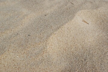 Dry light beach sand, side view. High quality photo