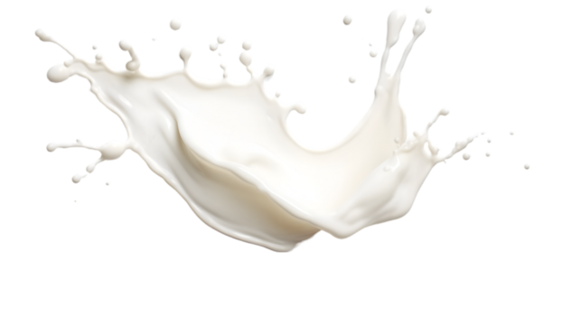 Spilled milk splash isolated on transparent white background