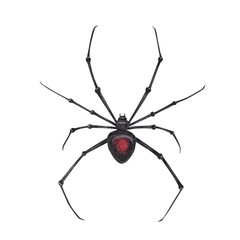 Black spider with cobweb magical texture isolated on white background. Watercolor hand drawn dark fantasy sketch iIllustration. Art design mystical halloween witch decoration, scary greeting card