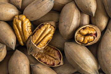 Selective focus on peeled pecan nut among shelled Pecan nuts