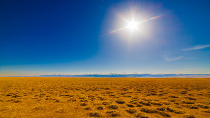 field covered with dry grass bumps with distant high mountains on the horizon, wide angle surface...