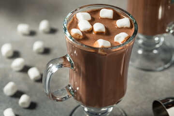 Warm Boozy Hot Cocoa Chocolate in a Mug