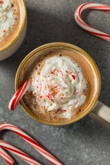 Warm Sweet Holiday Peppermint Hot Chocolate Cocao