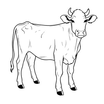 recommend clip art: Elegant Cow Silhouette Vector Design