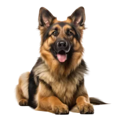 Fotobehang A cute german shepherd with brown and black fur sitting, isolated on white transparent background © Creative Canvas