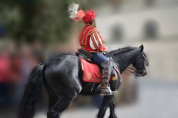 closeup of black horse with rider in medieval clothes