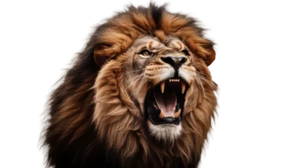 Zelfklevend Fotobehang Portrait of a roaring lion with an aggressive look, isolated a transparent background © Creative Canvas