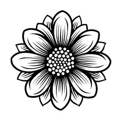 Margarita Flower Vector