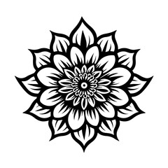 Margarita Flower Vector