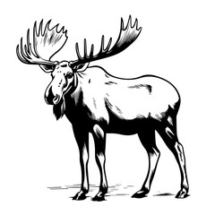 Majestic Moose Vector Art