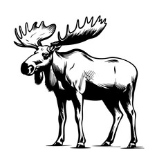 Majestic Moose Vector Art