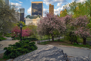 Central Park in spring