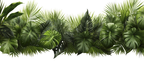 palm tree leaves overlay texture, border of fresh green tropical plants isolated on transparent background,, PNG - obrazy, fototapety, plakaty