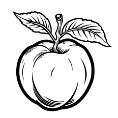 Juicy Peach Fruit Vector Illustration