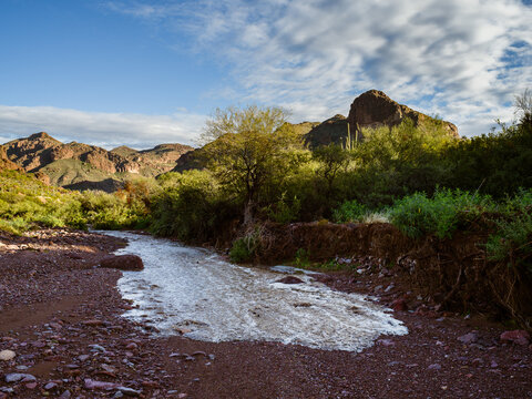 The first waters of a flash flood arrive under the blue skies of a desert wash, Organ Pipe National Monument, Arizona