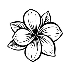Tropical Plumeria Flower Vector Art