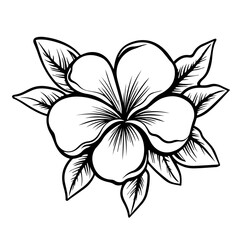 Tropical Plumeria Flower Vector Art