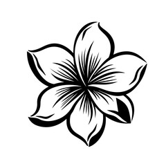 Tropical Plumeria Flower Vector Art