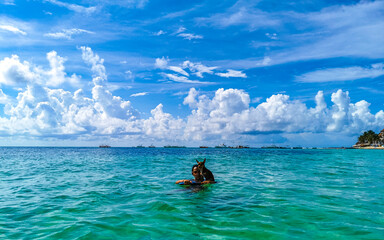 Pretty woman with dog on surfboard Playa del Carmen Mexico.