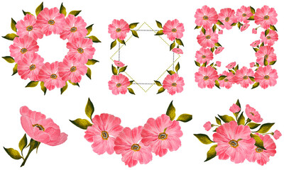 set of drawn elements of frames and pink rose flowers with leaves