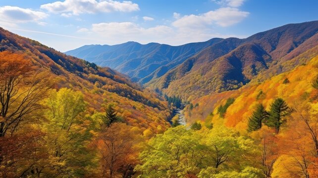 autumn landscape in mountains. Drone view of autumn trees. Generative AI