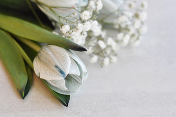 bouquet of beautiful white flowers