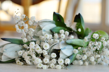 bouquet of beautiful white flowers