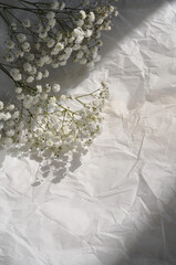 white background with nice flowers