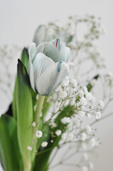bouquet of beautiful white flowers
