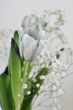 bouquet of beautiful white flowers