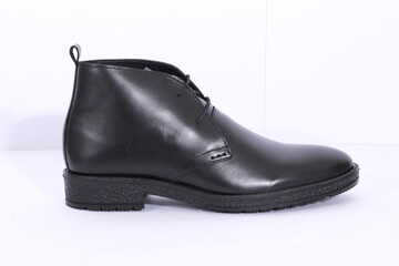 this the picture of men`s formal (dress) executive Shoes