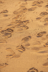 Footprints on the beach of Fuerteventura
