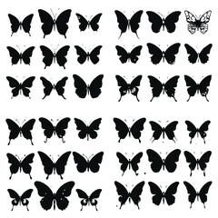 Fototapeta premium butterfly svg , butterfly png, butterfly illustration, butterfly silhouette, butterfly , butterfly png, butterfly clipart, butterfly, insect, nature, wing, wings, fly, beauty, animal, swallowtail, 