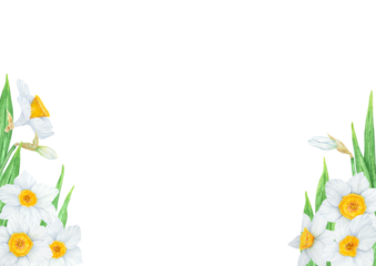 Narcissus, watercolor illustration of daffodils. Hand drawn watercolor frame of a fragrant spring garden flowers. White and yellow botanical painting for greeting, wedding, Easter, Mothers day print