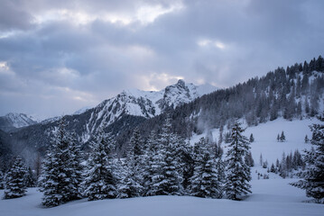 Winter | Landschaft | Natur