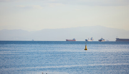 birds on the sea and on lights in turkey