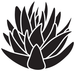 Blue agave isolated on white background. Side view of Mexican traditional succulent plant, used for production of tequila. Hand drawn black and white vector sketch