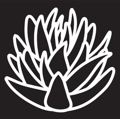 Blue agave isolated on white background. Side view of Mexican traditional succulent plant, used for production of tequila. Hand drawn black and white vector sketch.