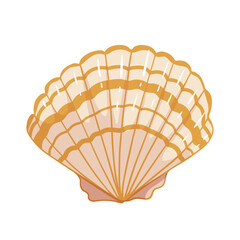 Colorful sea shell.Decorative element for summer decorations.vector graphic.