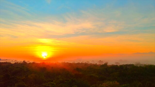 Amanecer sobre el bosque nublado.