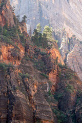 Morning in Zion National Park